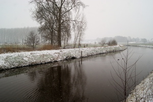 170211-PK-winterlandschap in Heeswijk- 4   Large 